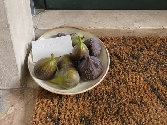figos num prato